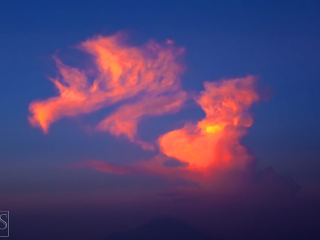 Fire Dragon