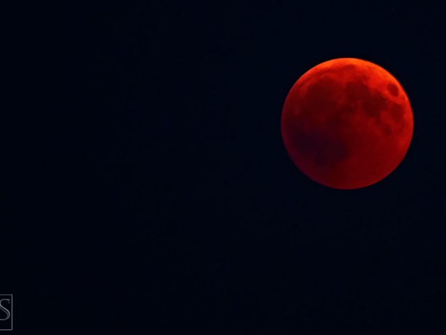 Blood Moon