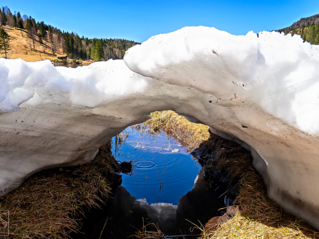 The Snow Bridge
