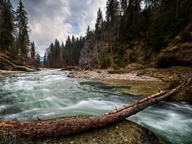 Wild Waters