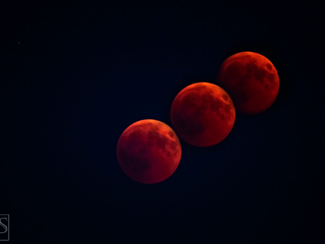Blood Moon Rising